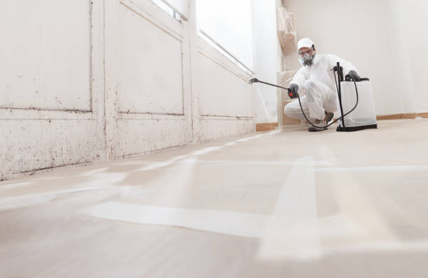 24/7 Emergency Mold Remediation experts in New Berlin, IL