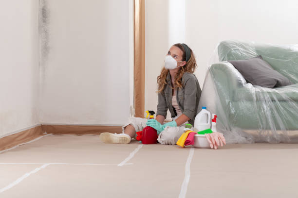 Reliable Mold Remediation contractor in New Berlin, IL by 24 Hour Mold Removal